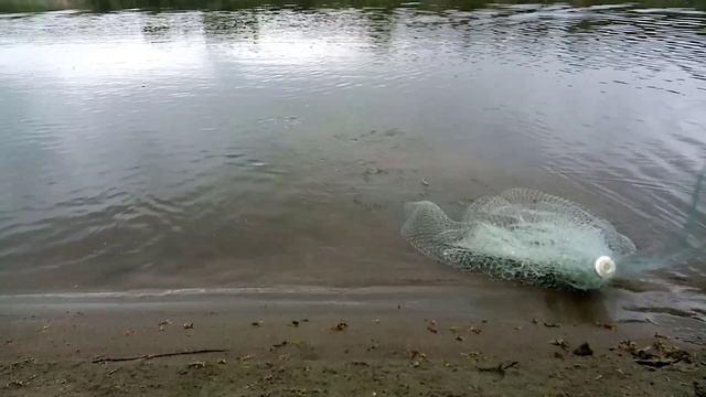 Рыбалка кастинговой сетью. Ранним утром. Река Чумыш.