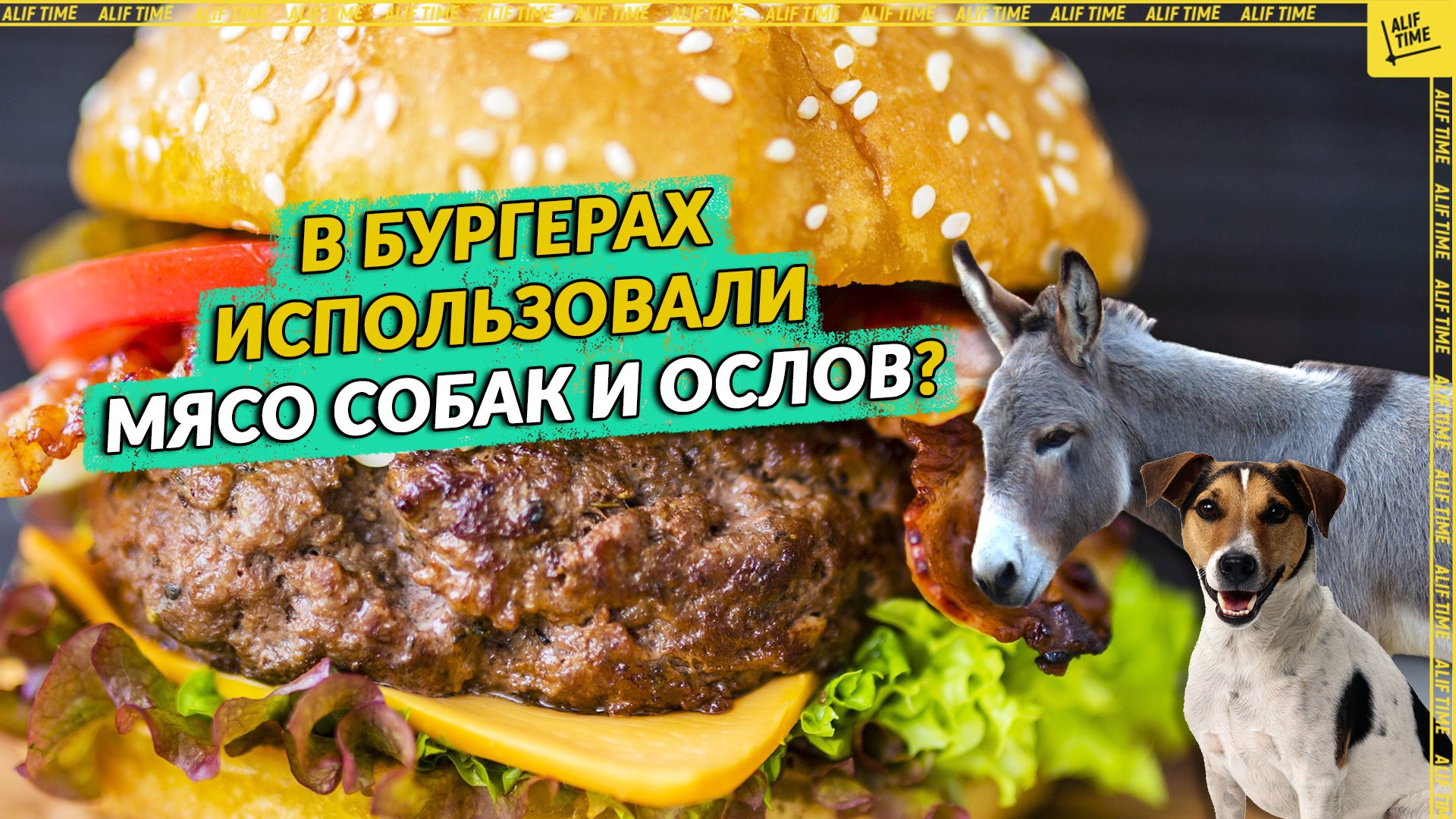 В бургерах использовали мясо собак и ослов?