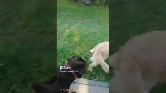 Сообразим ? на троих_.mp4