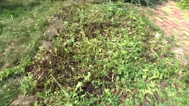 УМНАЯ СУШИЛКА. СУШУ АРОМАТНЫЕ ТРАВЫ.