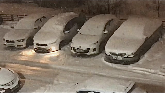 Алиса обещала небольшой снег! Зимние зарисовки! Russian winter!