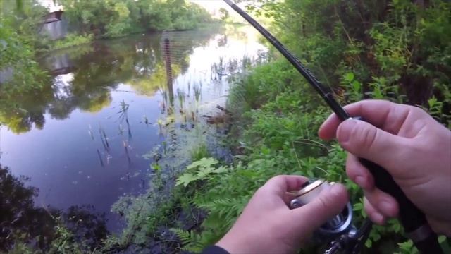 Спиннинг на "Болоте"