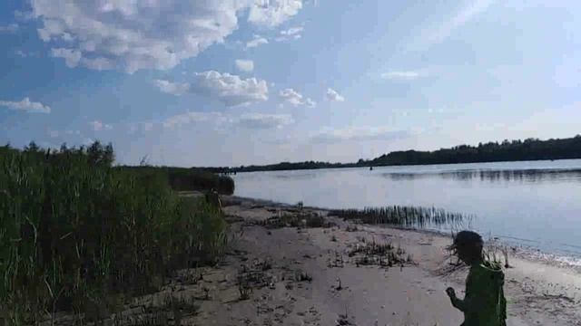 Живая природа реки Дон. Огромная цапля в черте города Ростов-на-Дону встретилась нам при прогулке