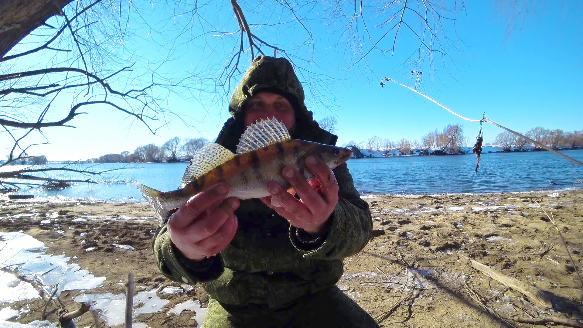 Не рыбалка, а просто сказка. Берш просто дуреет от микроджига.  Ультралайт и ларва ловят все.