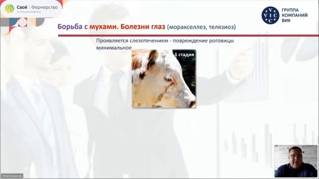 Системный подход к лечению и профилактике паразитарных заболеваний у КРС. Лекция