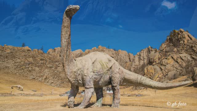 Монголия посещение знаменитого парка Горхи-Тэрэлж