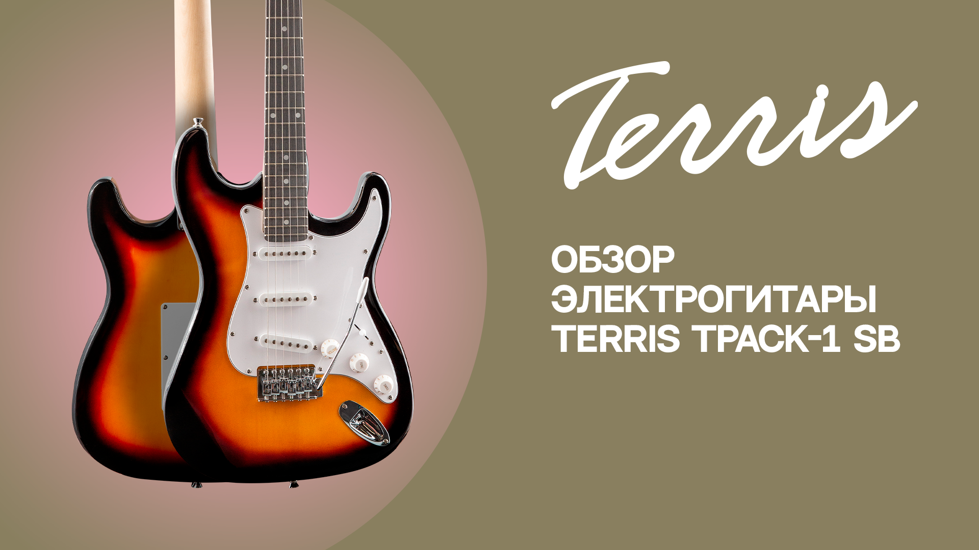 Комплект начинающего гитариста TERRIS TPACK-1 SB