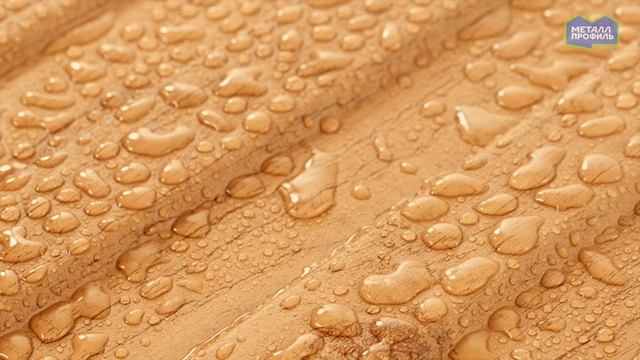 Покрытие ECOSTEEL® Цвет Сосна, матовый