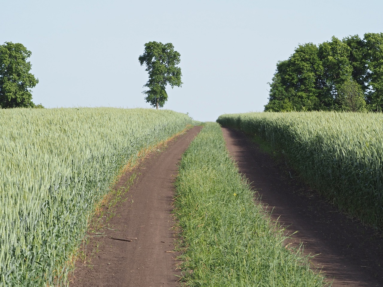 "БЛАГОСЛОВЕНИЕ"... (Фото-графика Евгения Степанова (Тула), музыка Марса Ласара (Австралия))