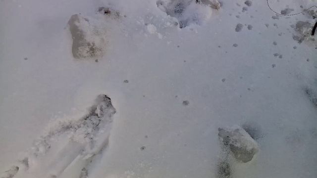 Рыбалка на жерлици, разведую новые места.