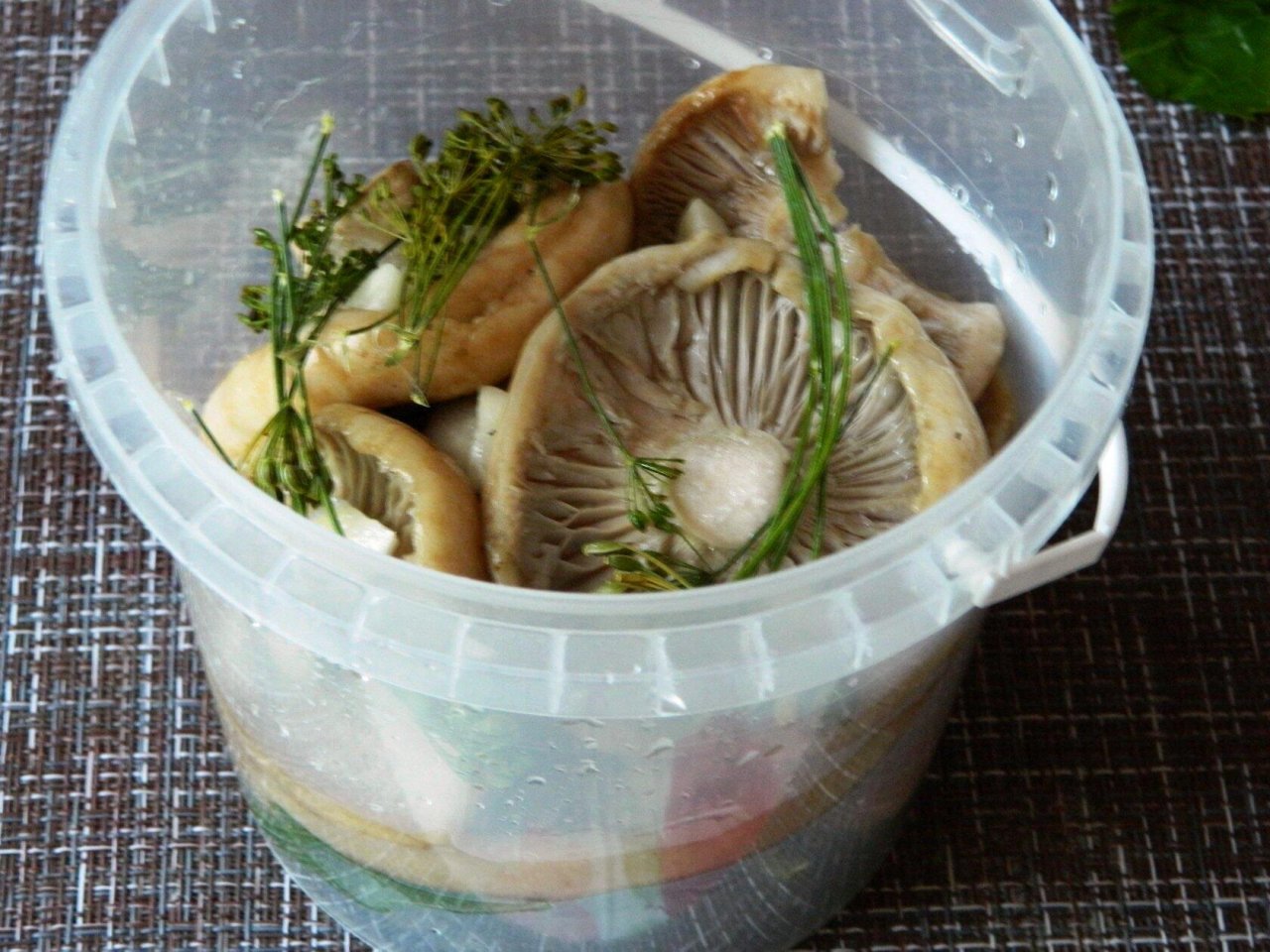 ВОТ ТАК НУЖНО СОЛИТЬ ГРУЗДИ