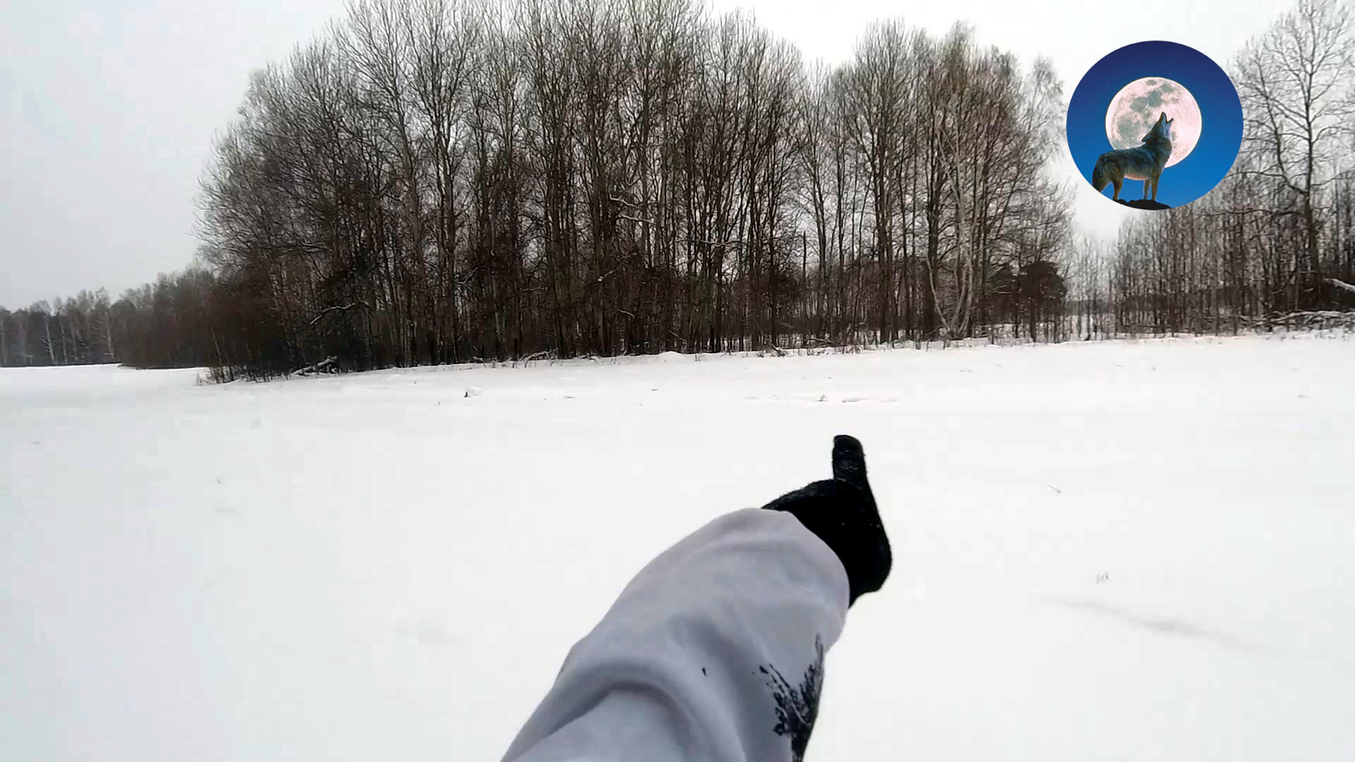 ЗАЯЧЬИ ИСТОРИИ: НАЙТИ И ДОБЫТЬ НЕСМОТРЯ НИ НА ЧТО