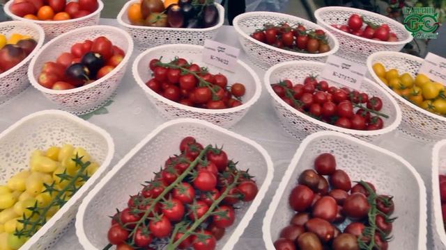 День открытых дверей в Алексине