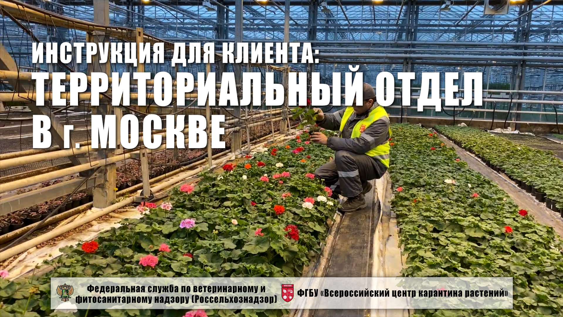 Территориальный отдел в г. Москве ФГБУ "ВНИИКР". Инструкция для клиента