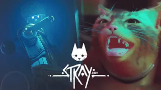 ЧУТЬ НЕ ПРИБИЛИ! _#7_ Stray