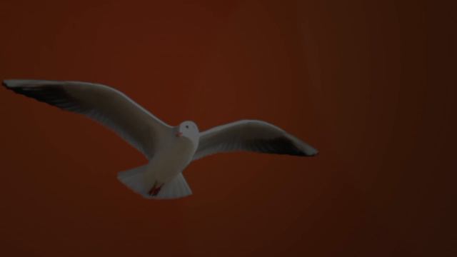 ЛОГОТИП КАНАЛА "ЗА ИСКУССТВО!"