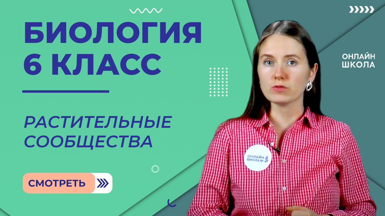 Растительные сообщества. Видеоурок 33. Биология 6 класс