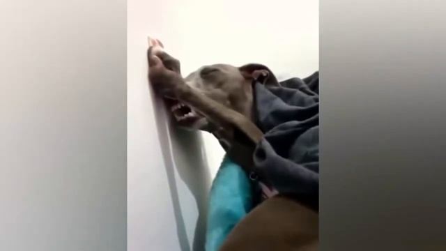 Забавные кубики. Подборка приколов. Vo60