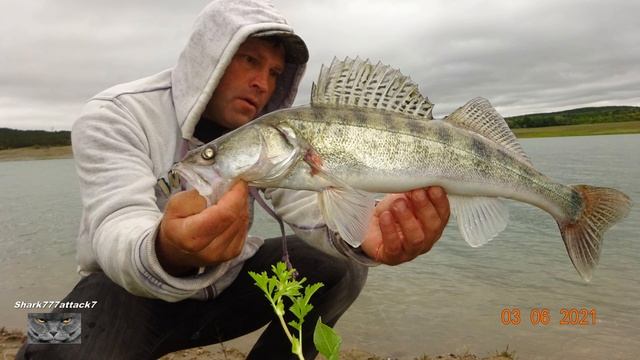 СУДАК ЩУКА.ЛЕТОМ.НА ЖИВЦА.2021.