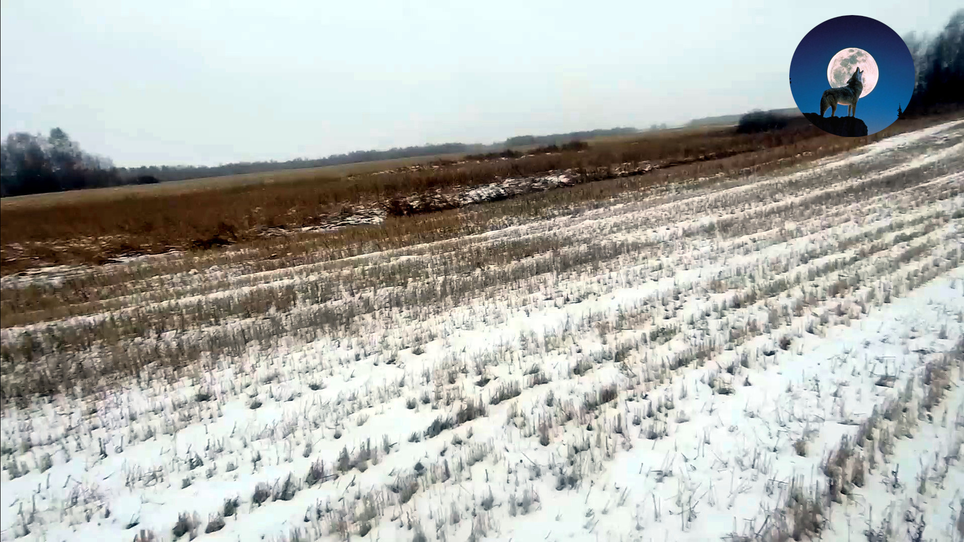 ЭКСПРЕСС ОХОТА НА ЗАЙЦА