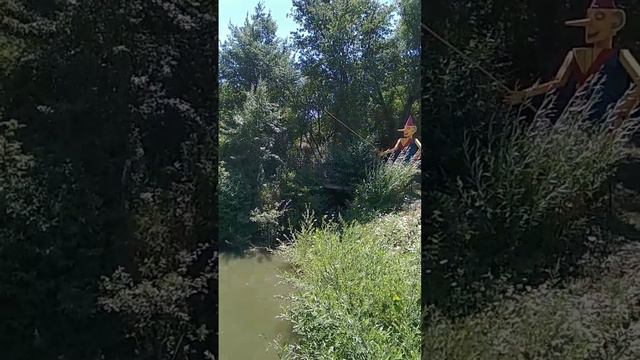 Зона отдыха в Миллерово⛲