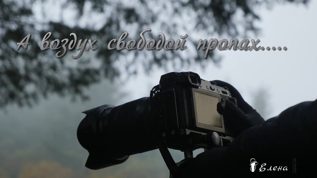 А воздух свободой пропах*    Bryan Adams  ( Everything I Do) I Do for You (Ladynsax Cover)