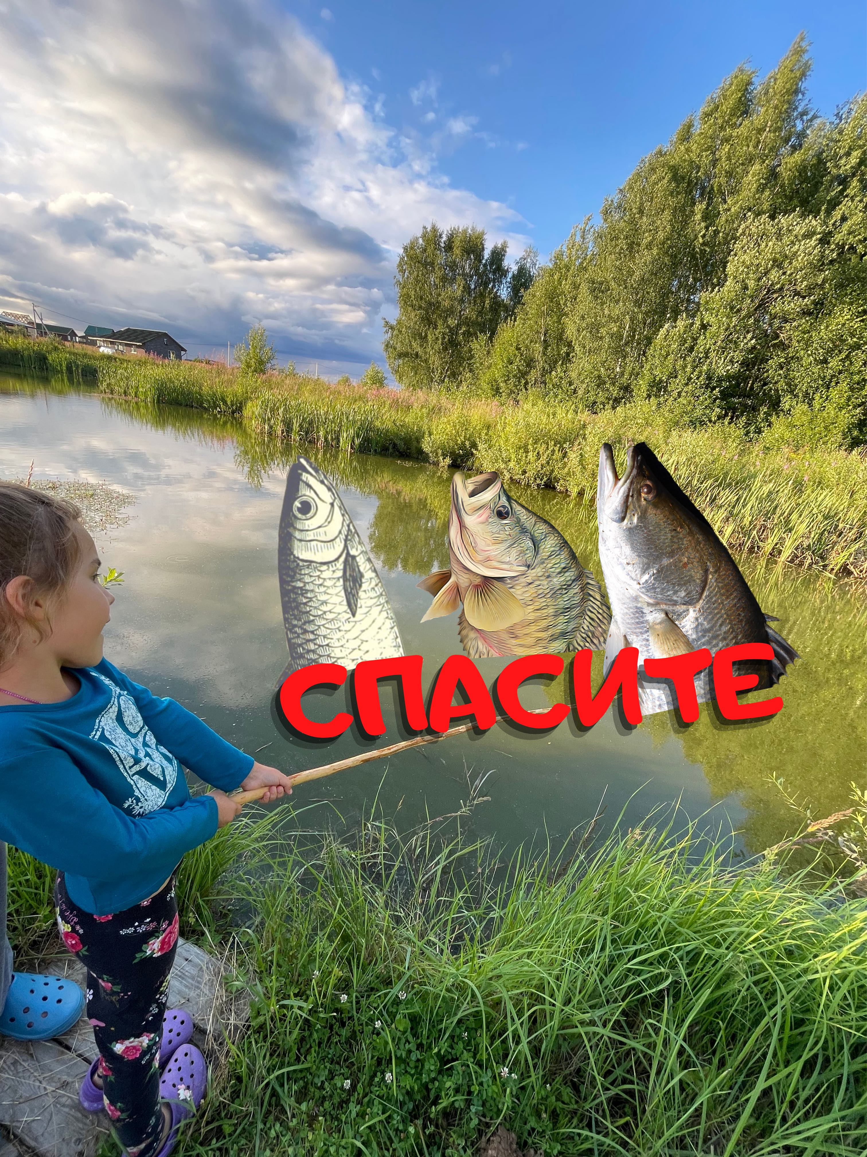 Спасение рыбы в пруду 🐟🐠