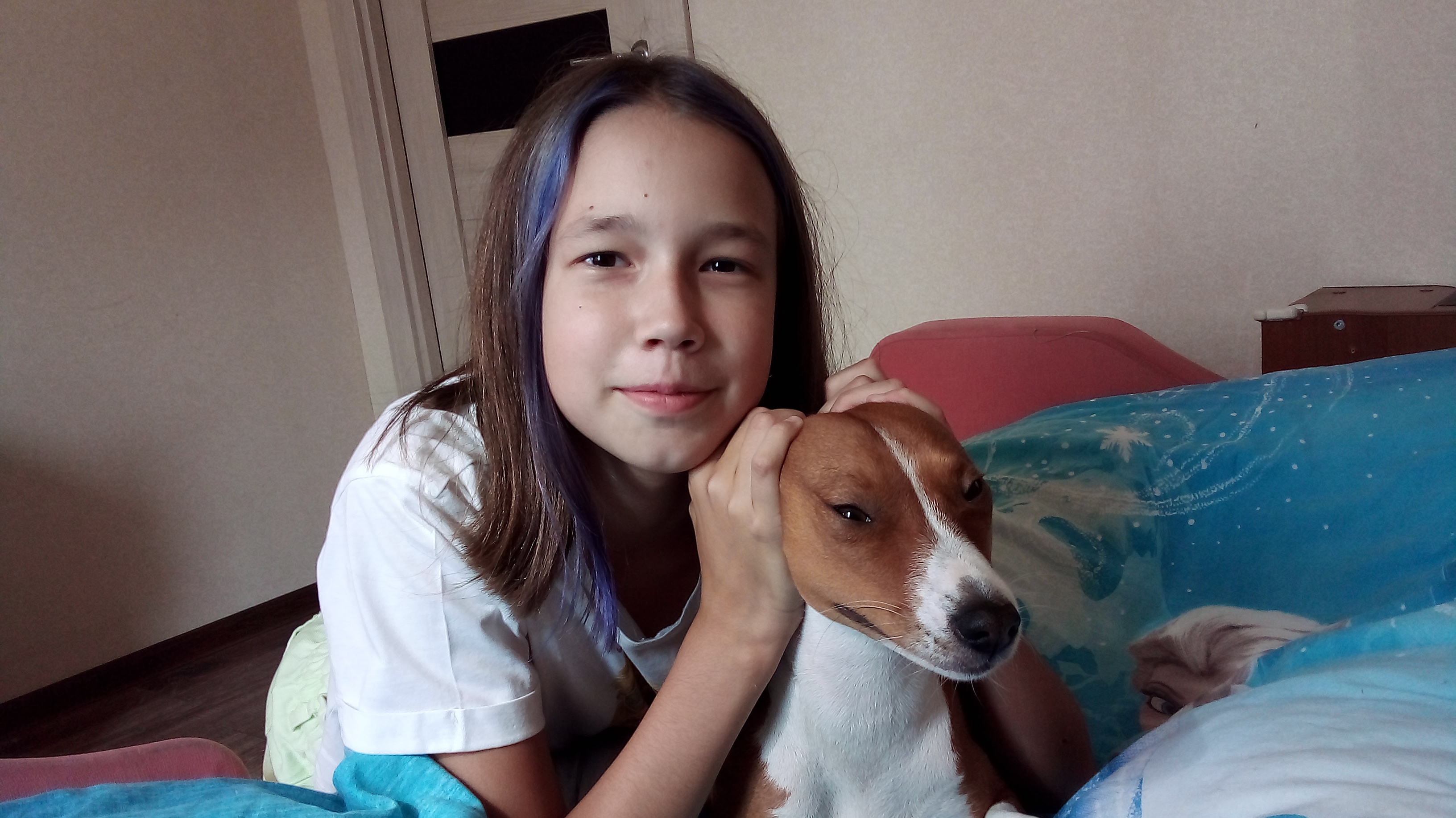 собака беси